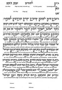 Soul's Delight Ketubah