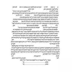 Magical Menagerie Ketubah