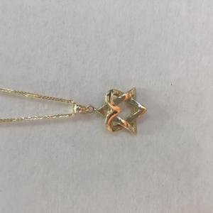 Heart Star of David Necklace - 14kt Gold