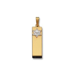 Rectangular Shiny Mezuzah Necklace - Gold
