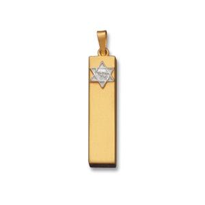 Rectangular Shiny Mezuzah Necklace - Gold