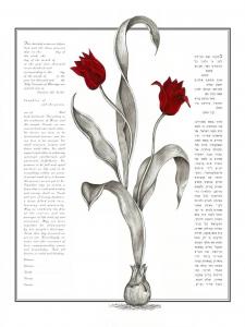Botanical Tulip