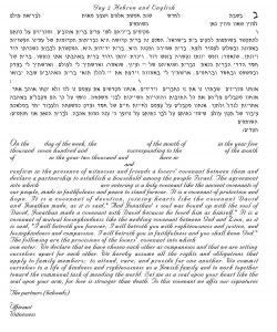 Seven Species Ketubah