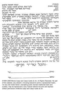 Rakefet Ketubah