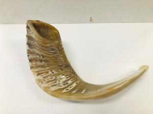 Israeli Shofar - Small