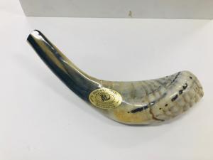 Israeli Shofar - Small