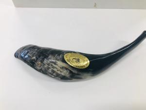 Israeli Shofar - Small