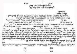 Seven Species Ketubah