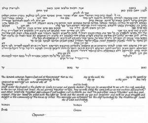 Seven Species Ketubah