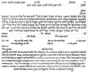 Seven Species Ketubah