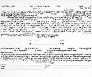 Interwined Trees Ketubah