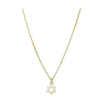 14k Gold Star of David Necklace