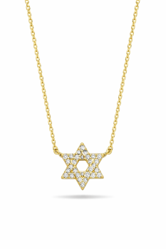 14k Gold Star of David with Diamonds Necklace