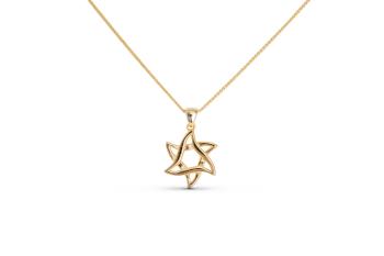 Israel Museum x Shalom House 14kt Gold Flowing Star of David