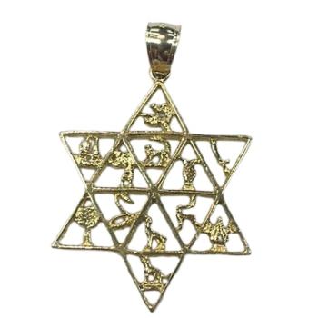 12 Tribe Star of David - 14kt Gold
