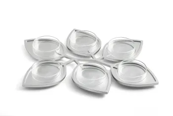 Leaves Seder Plate
