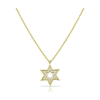 14k Gold Pave Star of David Necklace