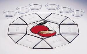 Orange Seder Plate - Stained Glass