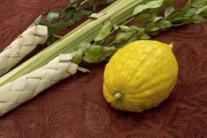 Lulav & Etrog