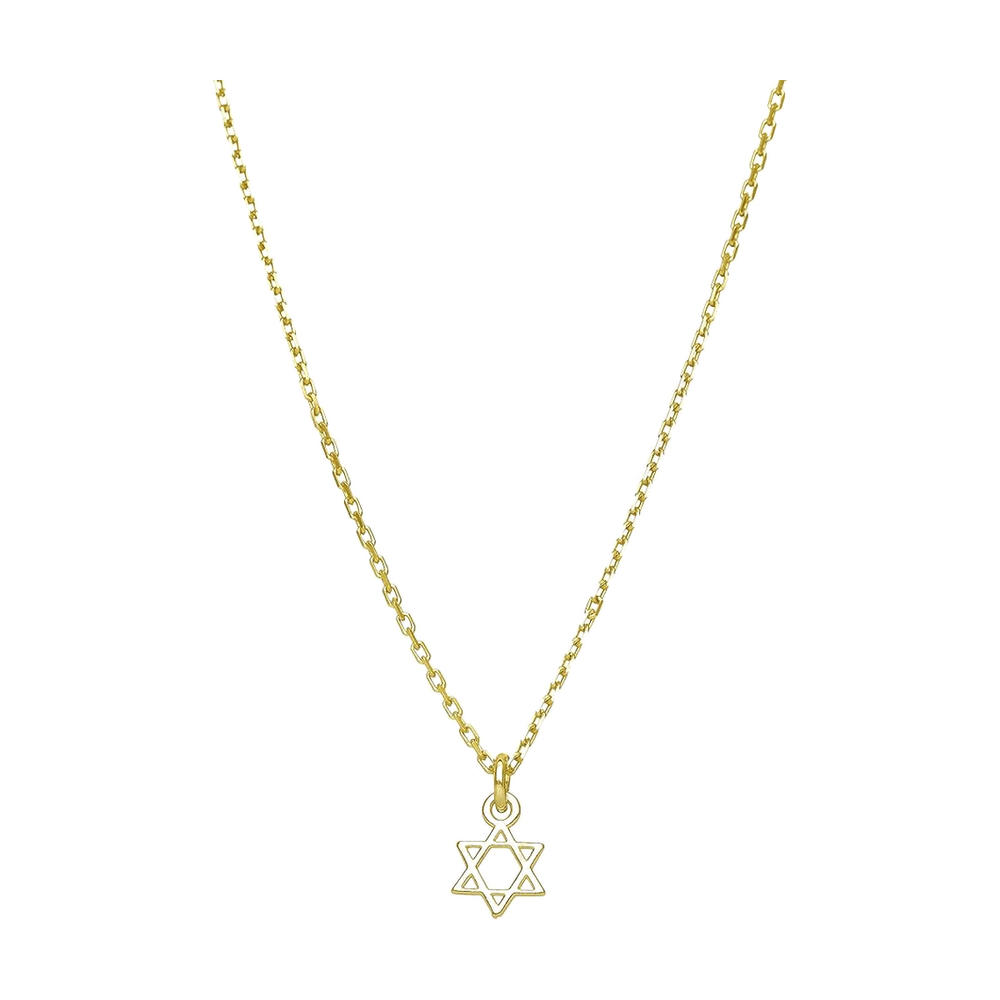 14k Gold Star of David Necklace