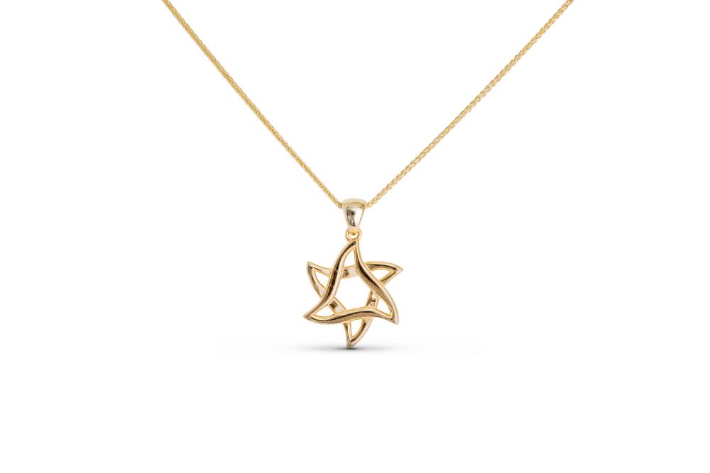 Israel Museum x Shalom House 14kt Gold Flowing Star of David