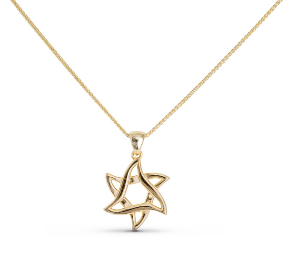Israel Museum x Shalom House 14kt Gold Flowing Star of David
