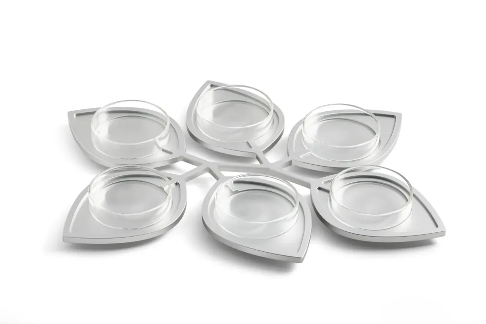 Leaves Seder Plate
