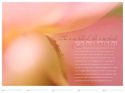 Blush Ketubah